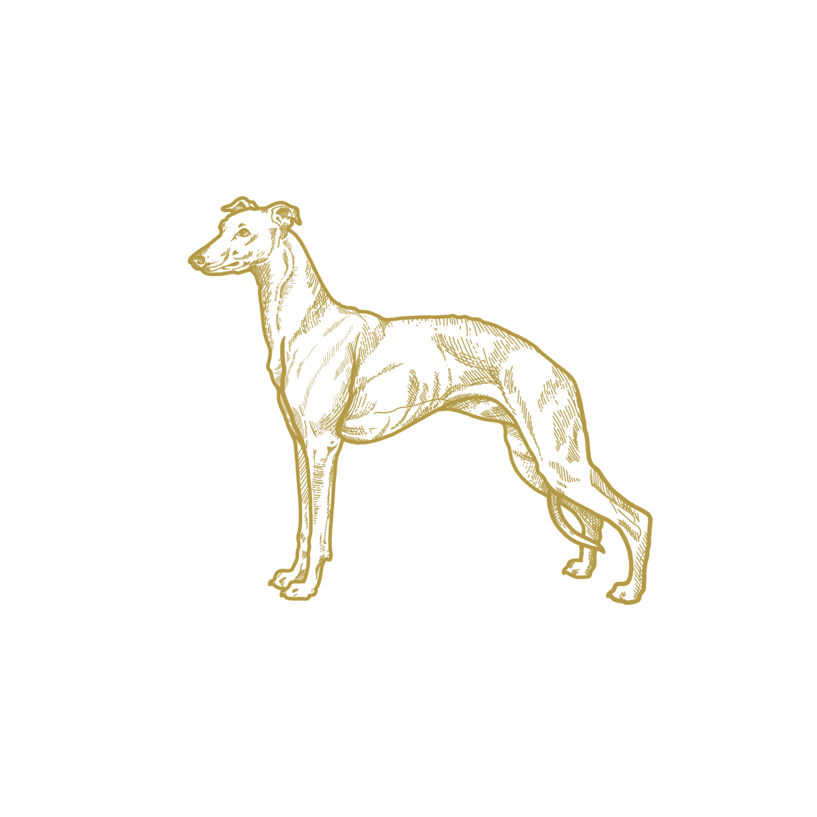 Maquena Kennel
